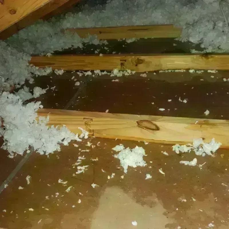 Attic Water Damage in Indian Trail, NC